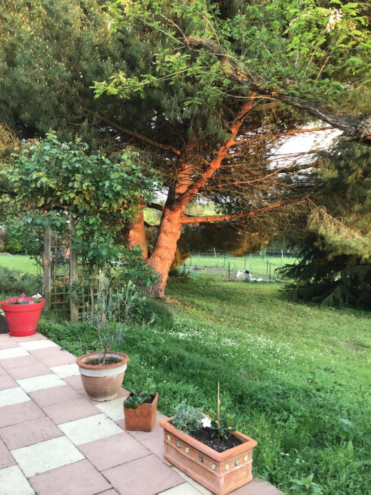 Des Roux Et Des Pious Suite De 35 A 60 M2 Et 3 Chambres Pour Groupe De 2 A 6 Personnes Civray-de-Touraine Εξωτερικό φωτογραφία